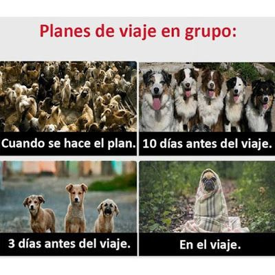 meme viaje